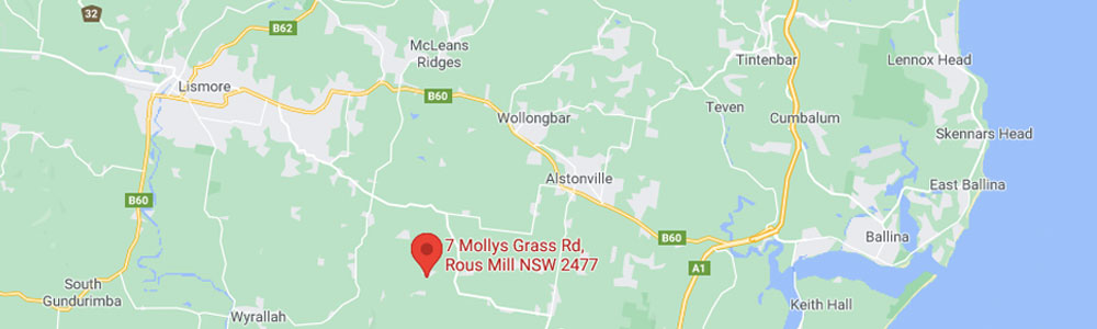 Rous Mill Clinic location map