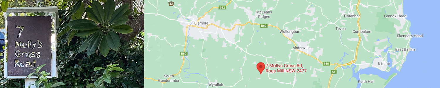 Rous Mill Clinic location map